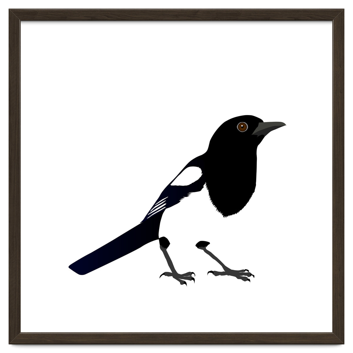 Magpie