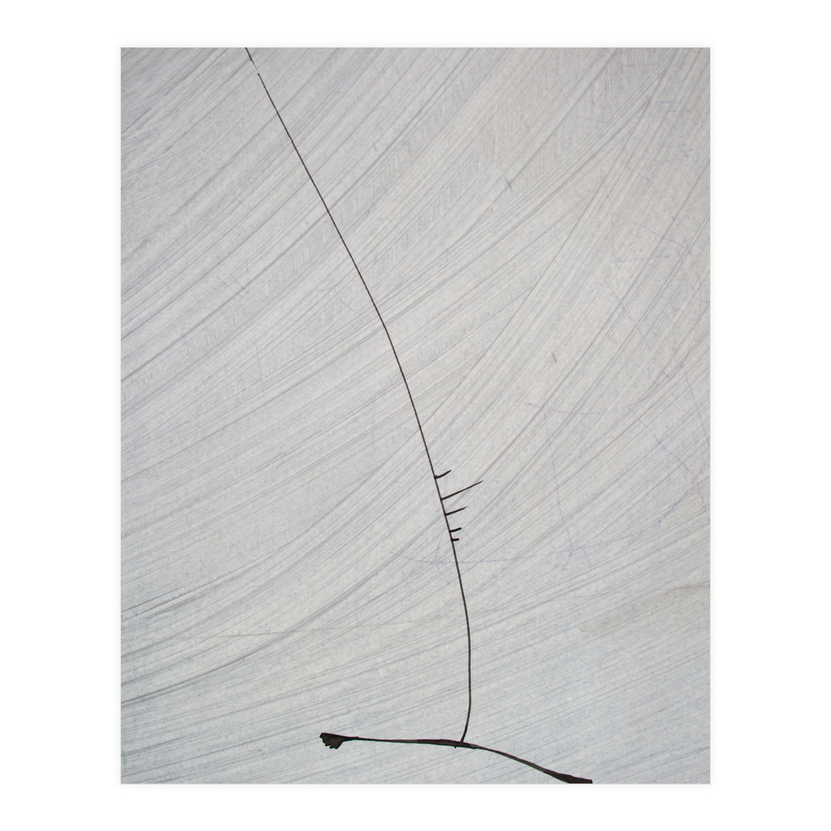 Abstract #1 (Print Only)