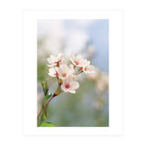 FLOWER (Print Only) thumbnail