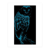 Teal Barn Owl (Print Only)