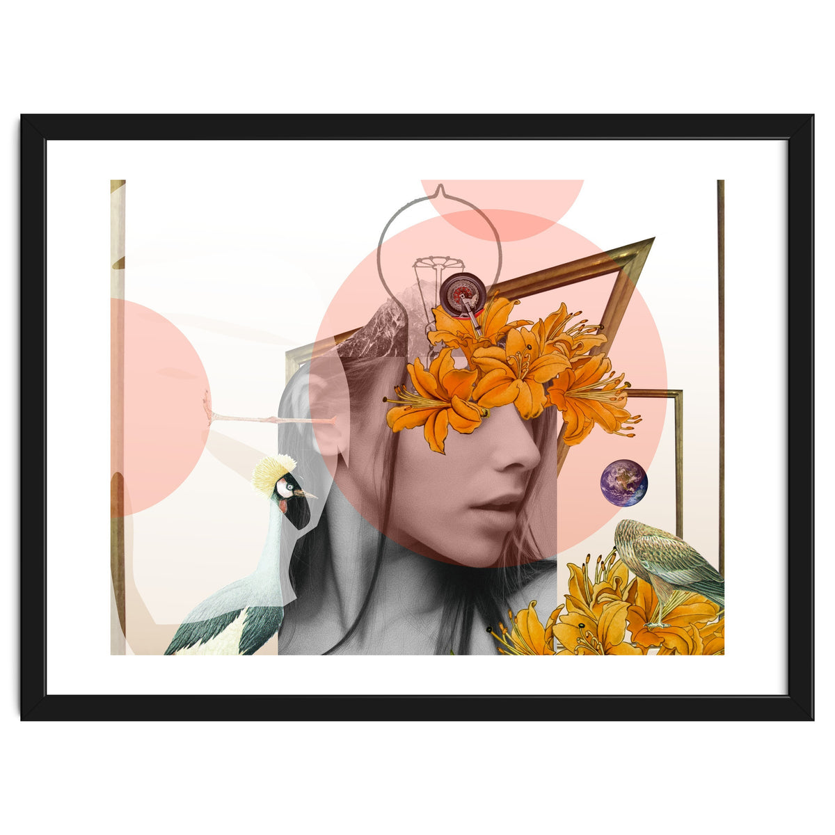 Dreamland Division · D