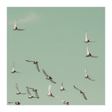 Mint Skies (Print Only) thumbnail