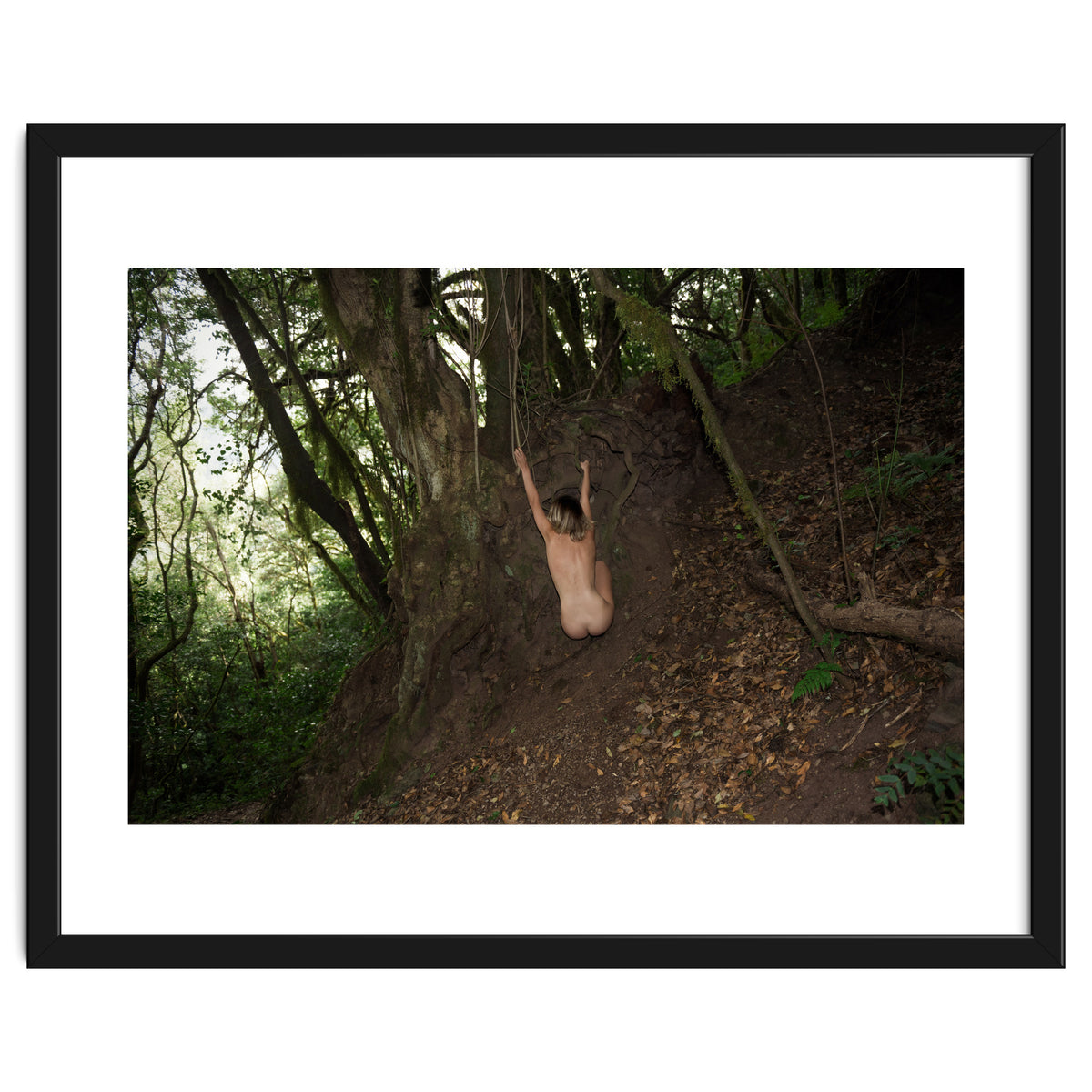 The kids Are all Wild