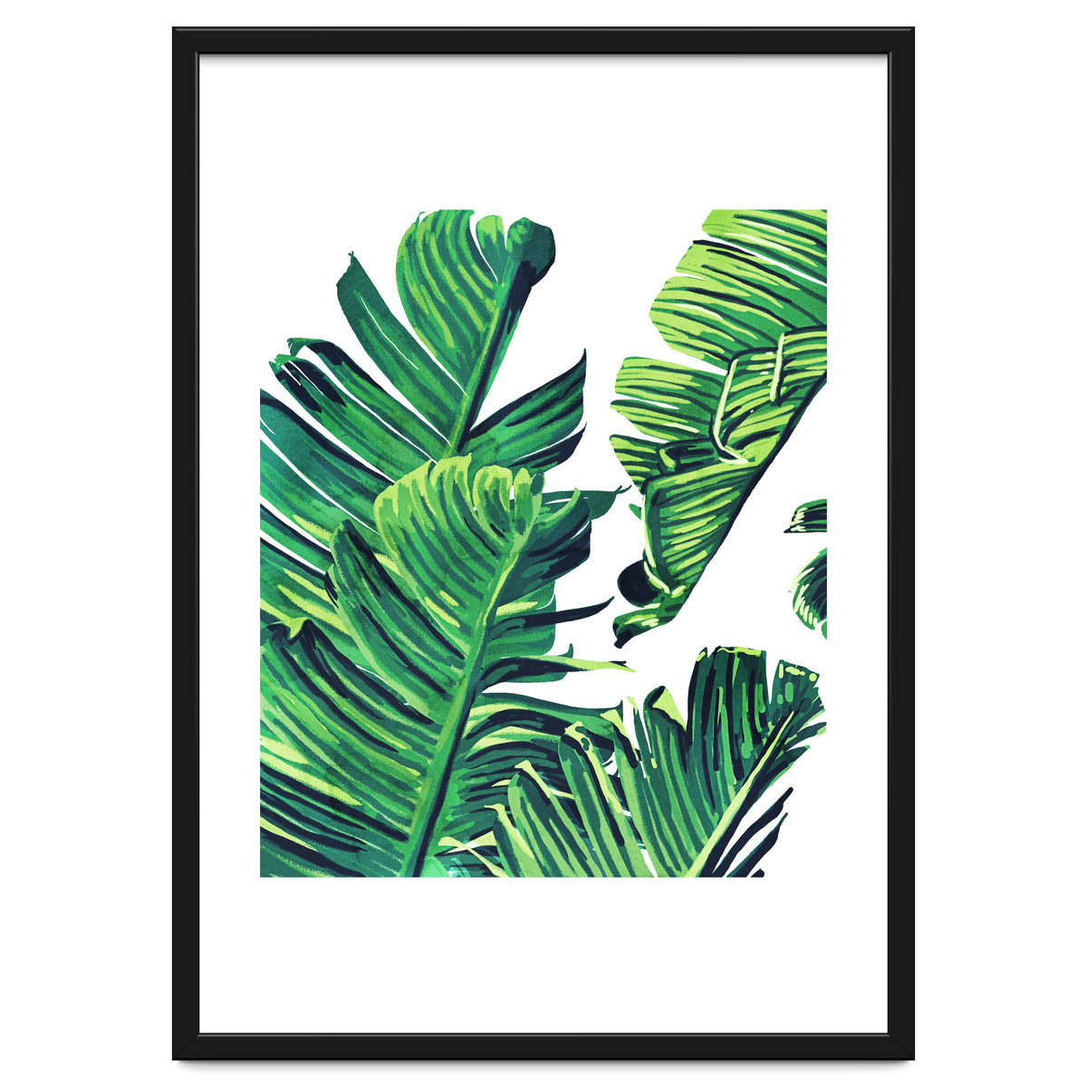Banana Tree Leaves