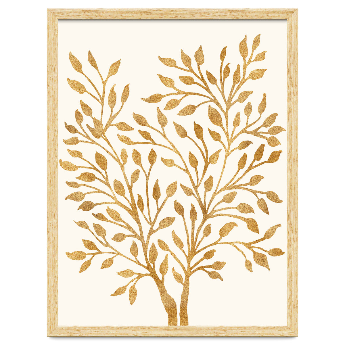 Golden Ficus 4x5