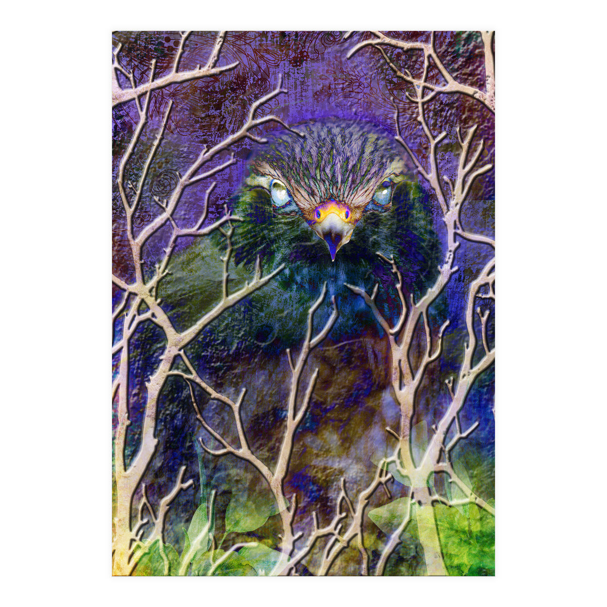 Dead Of Night (Print Only)