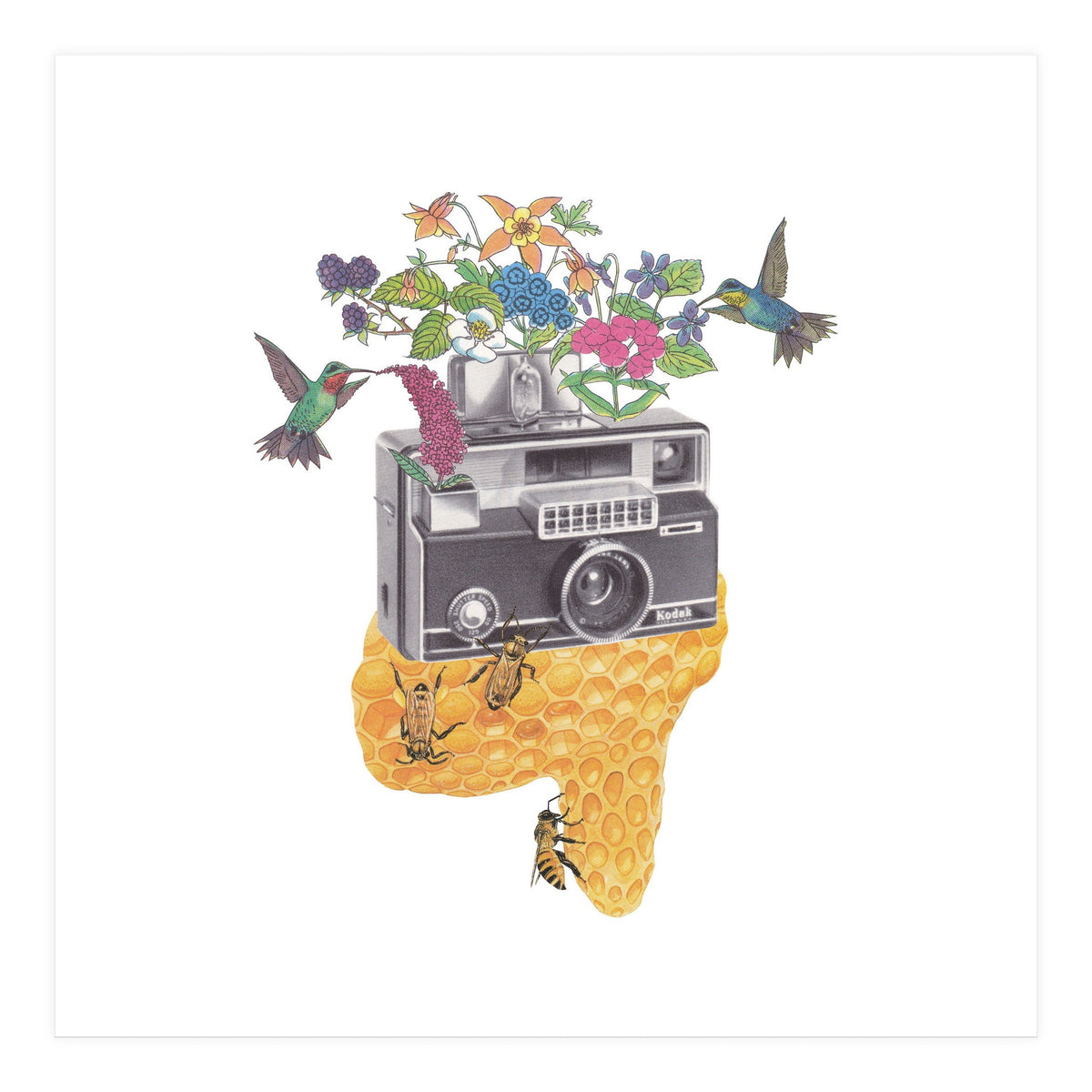 Vintage Camera (Print Only)