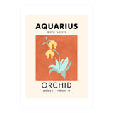 Aquarius Birth Flower Orchid (Print Only) thumbnail