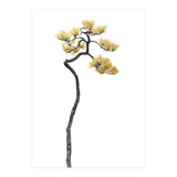 Bonsai Tree 05 (Print Only) thumbnail