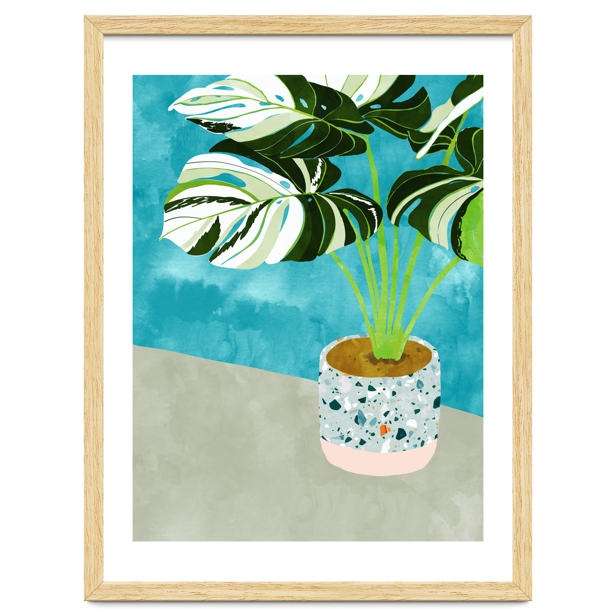 Variegated Monstera