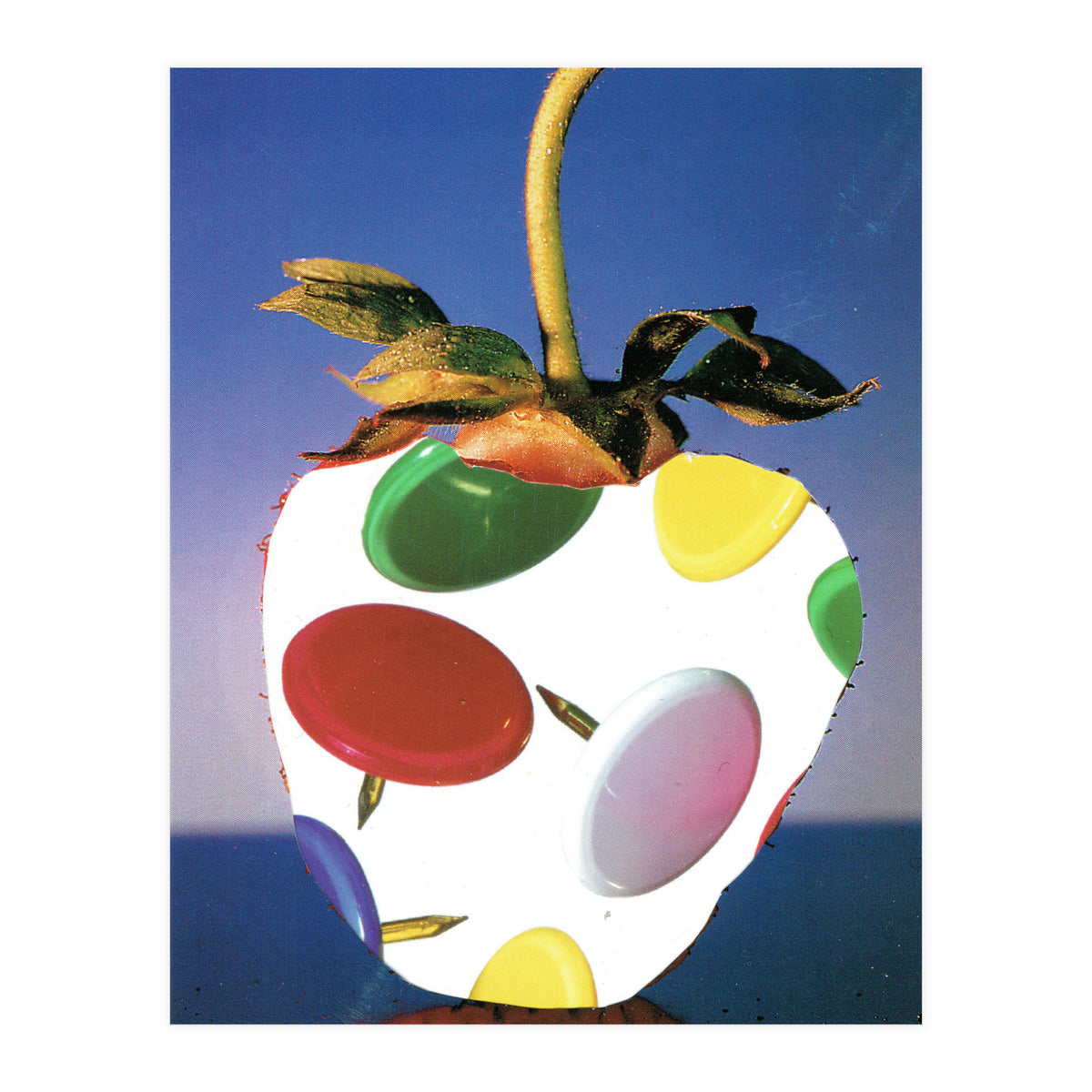 Stachelbeere (Print Only)