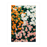 In My Garden (Print Only) thumbnail