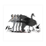 The Black Swan (Print Only) thumbnail