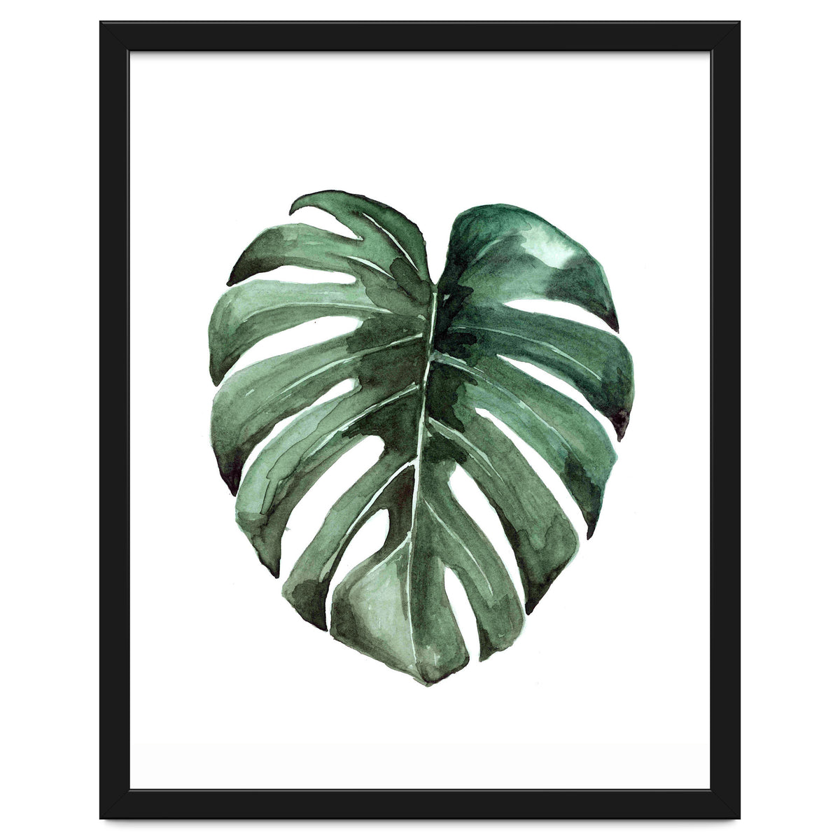 Botanical Illustration Monstera Deliciosa