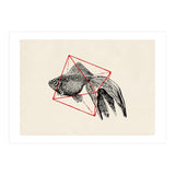 Fish In Geometrics III (Print Only) thumbnail