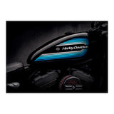 Harley Davidson Detail (Print Only) thumbnail