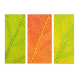 Autumn Leaves (Print Only) thumbnail