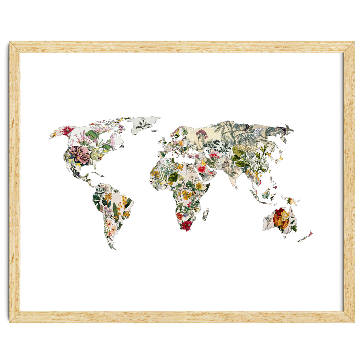 Vintage Botanical Map