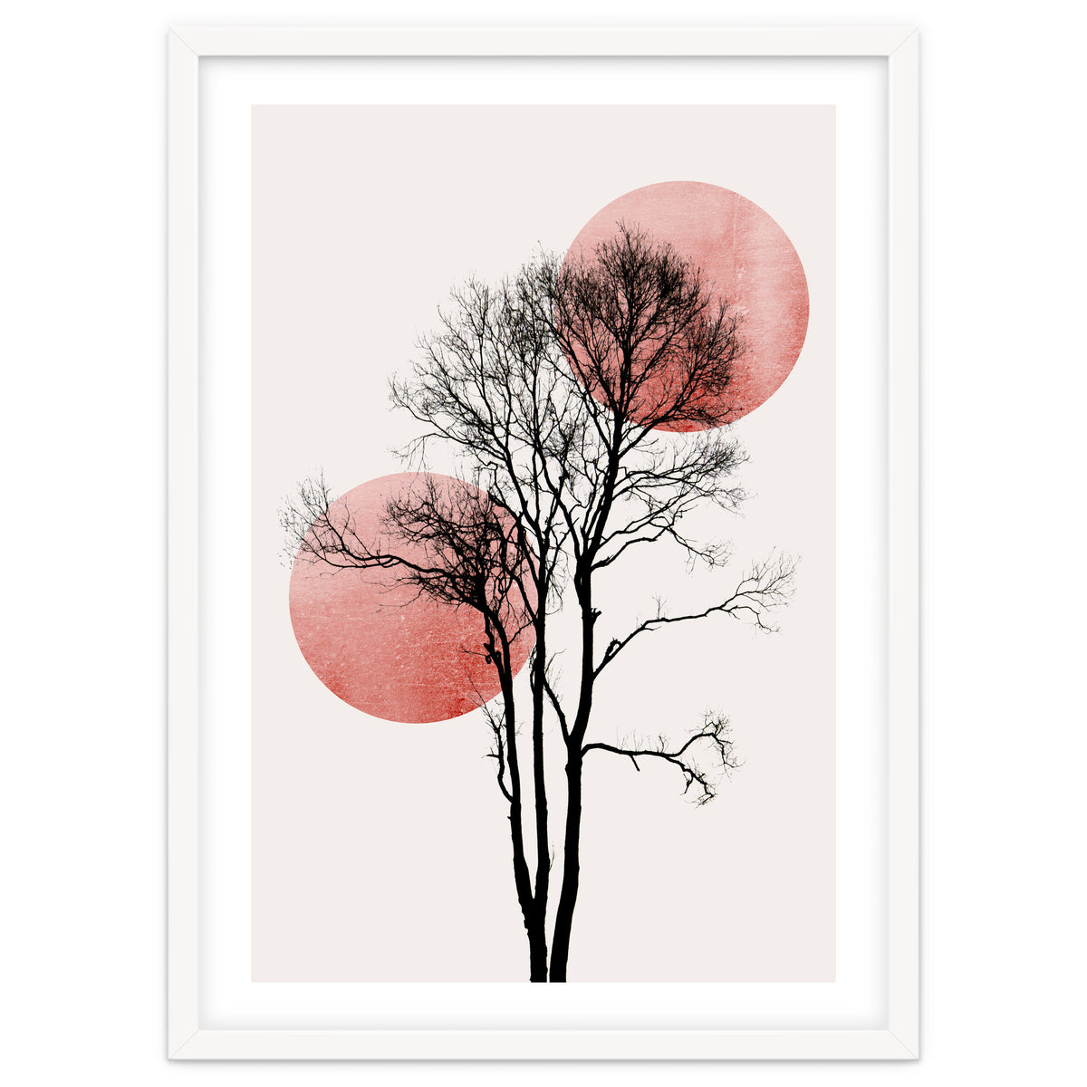 Sun And Moon Hiding Rosè