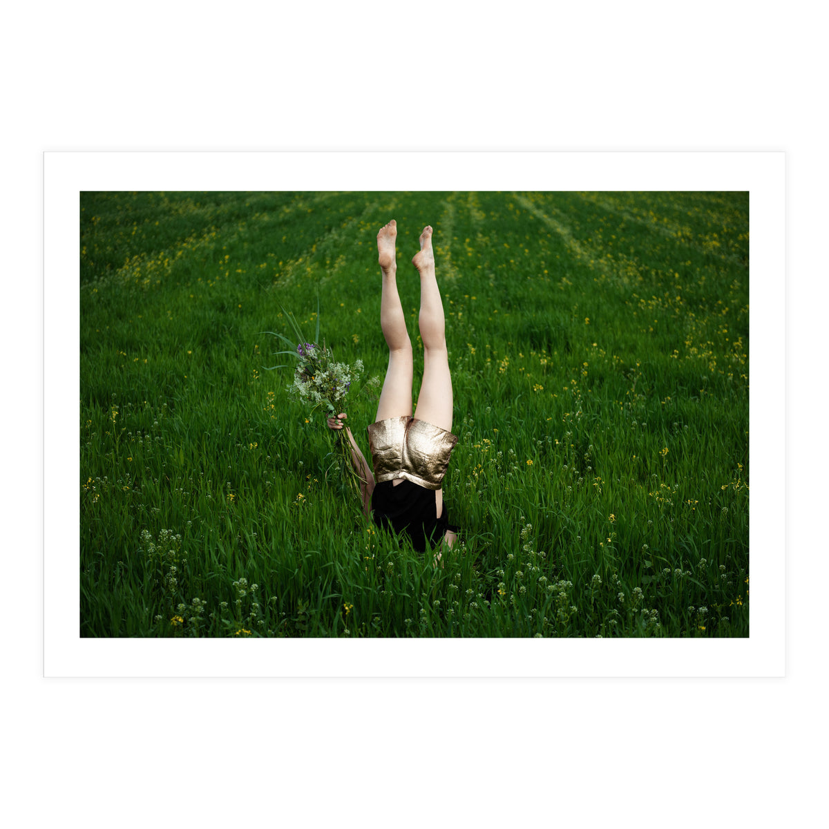 Gravity (Print Only)