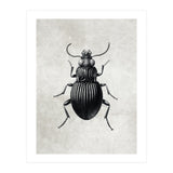 84 (Print Only) thumbnail