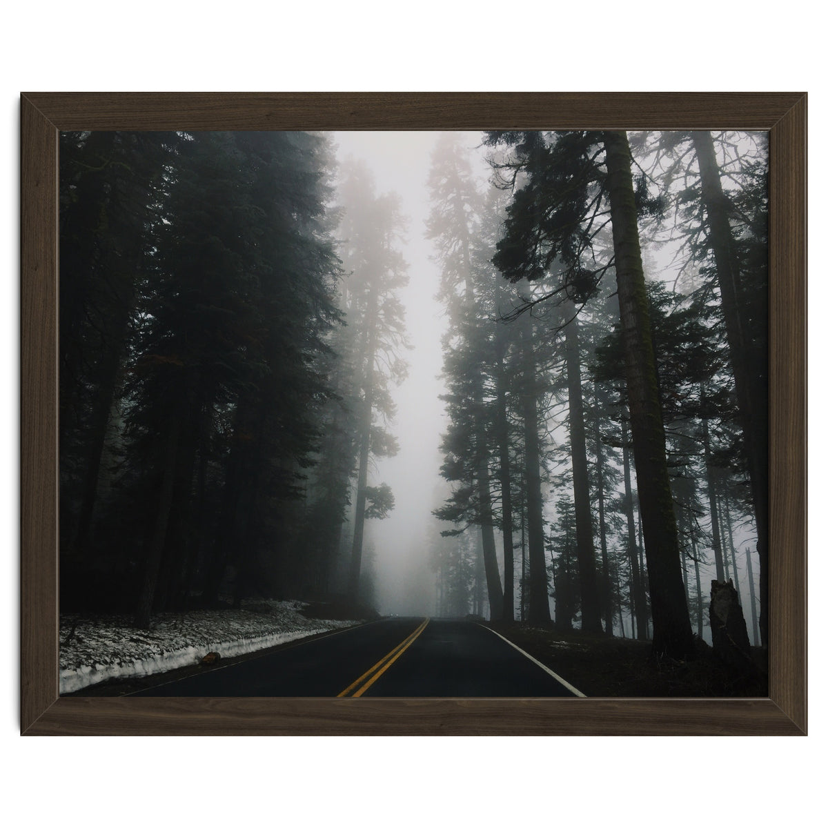 Foggy Yosemite
