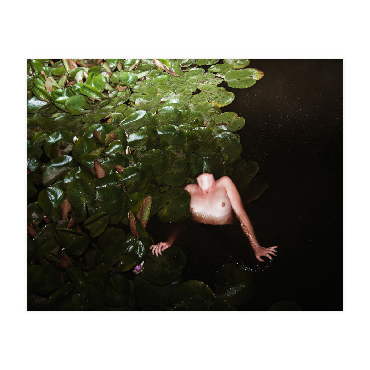 This is Not what You think it Is (Print Only)