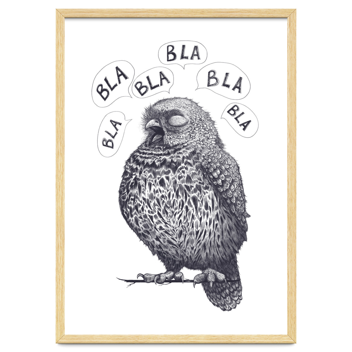 Owl Bla Bla Bla