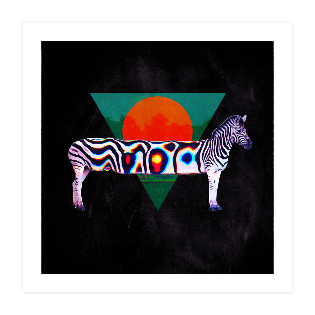 Zebra (Print Only)