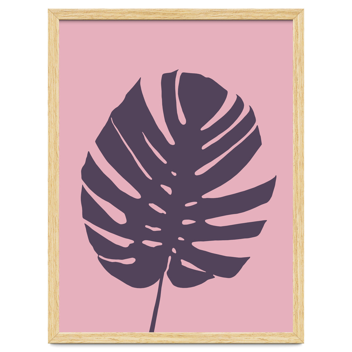 Monstera Deliciosa III