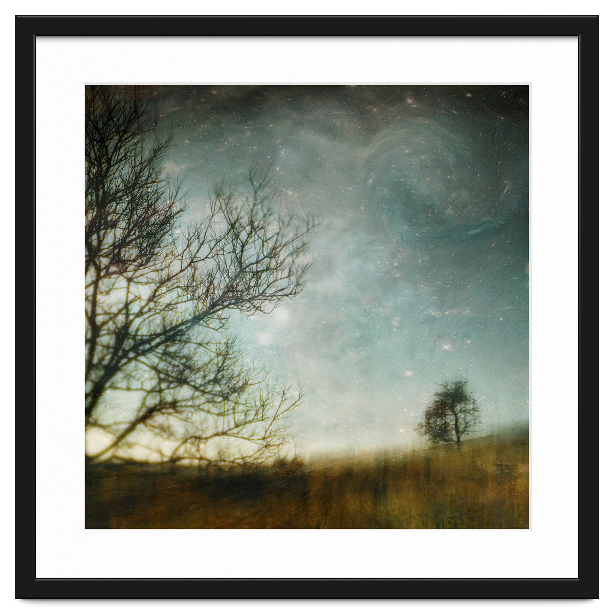 The Tree That Whispered