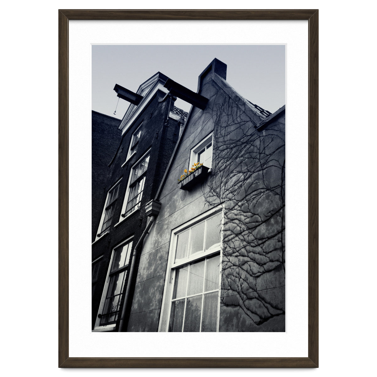 Amsterdam. House With Yellow Flowers.