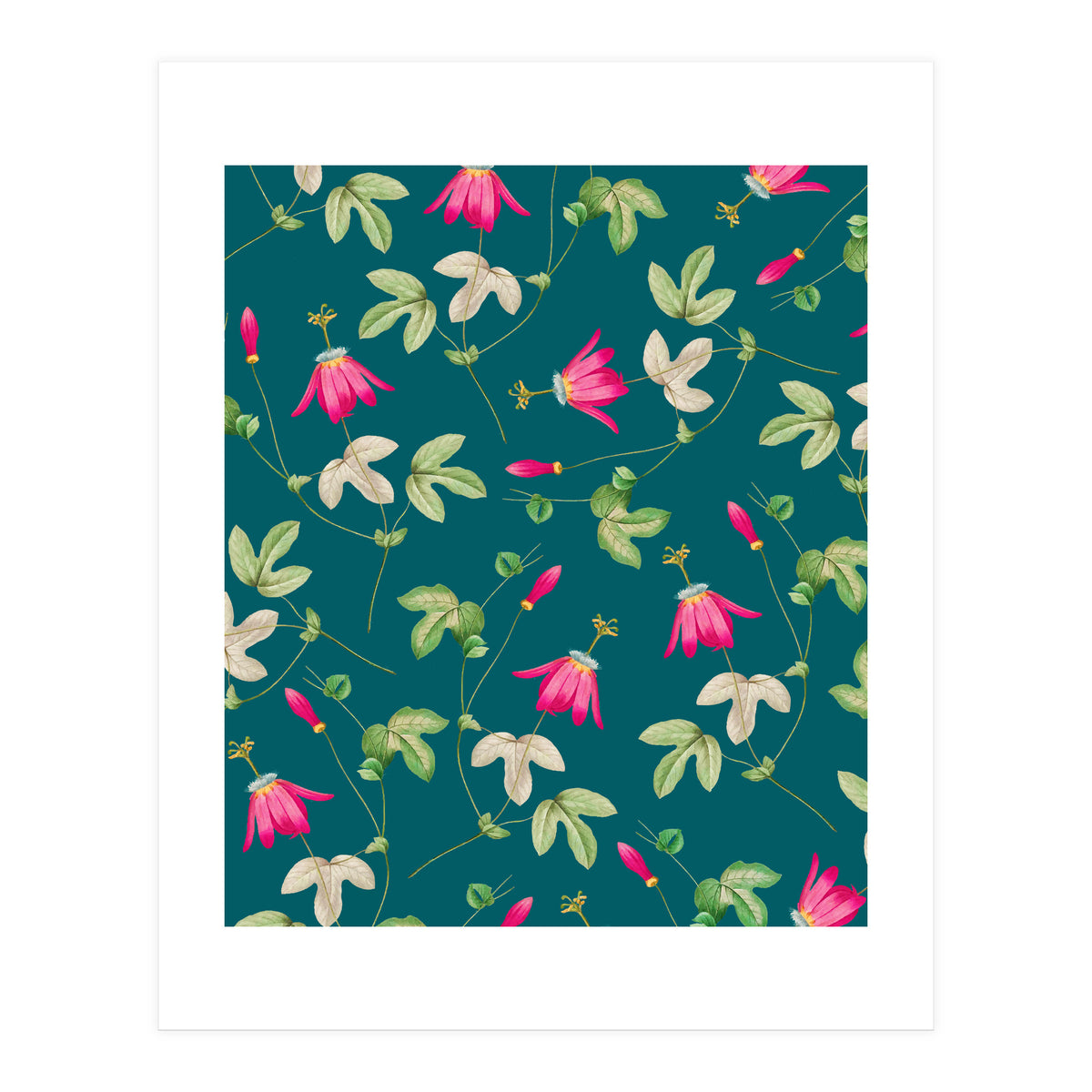 Art Of Nature (Print Only)