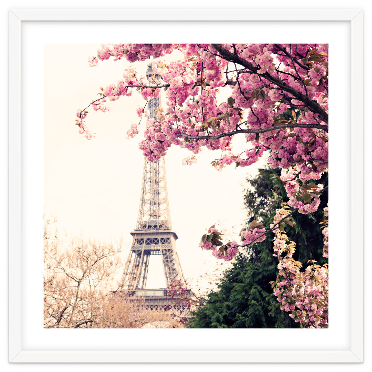 Paris in the Spring