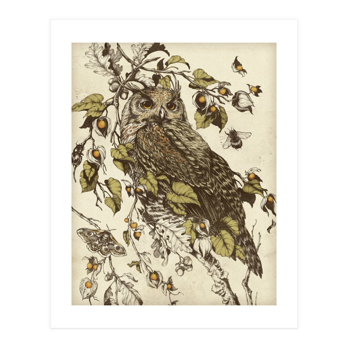 Great Horned Owl (Print Only)