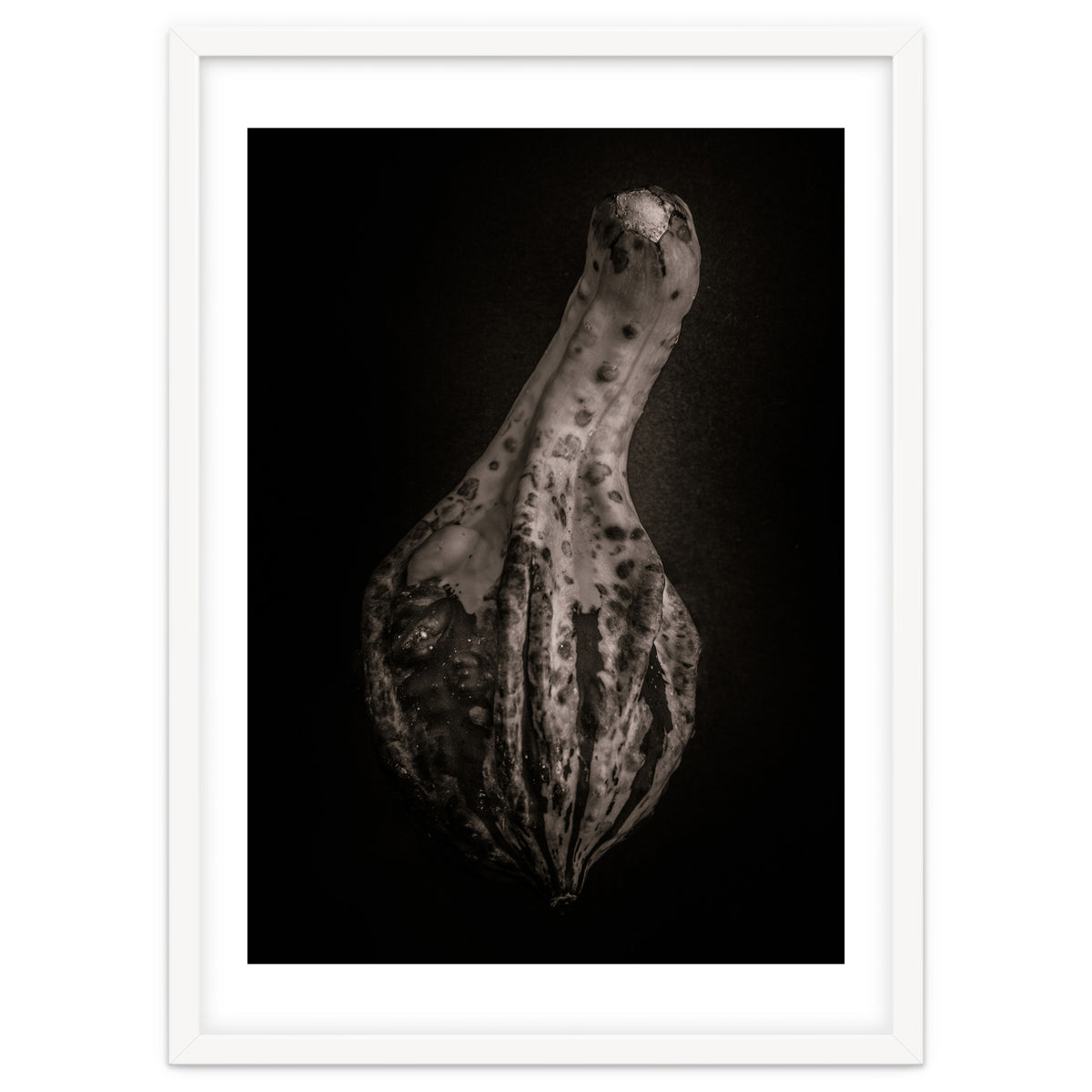 Gourds No 3