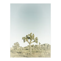 Vintage Joshua Tree  (Print Only)