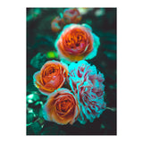 Rose Flowers  (Print Only) thumbnail