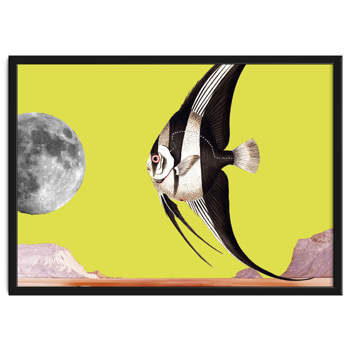 Plenty of fish in the sea yellow