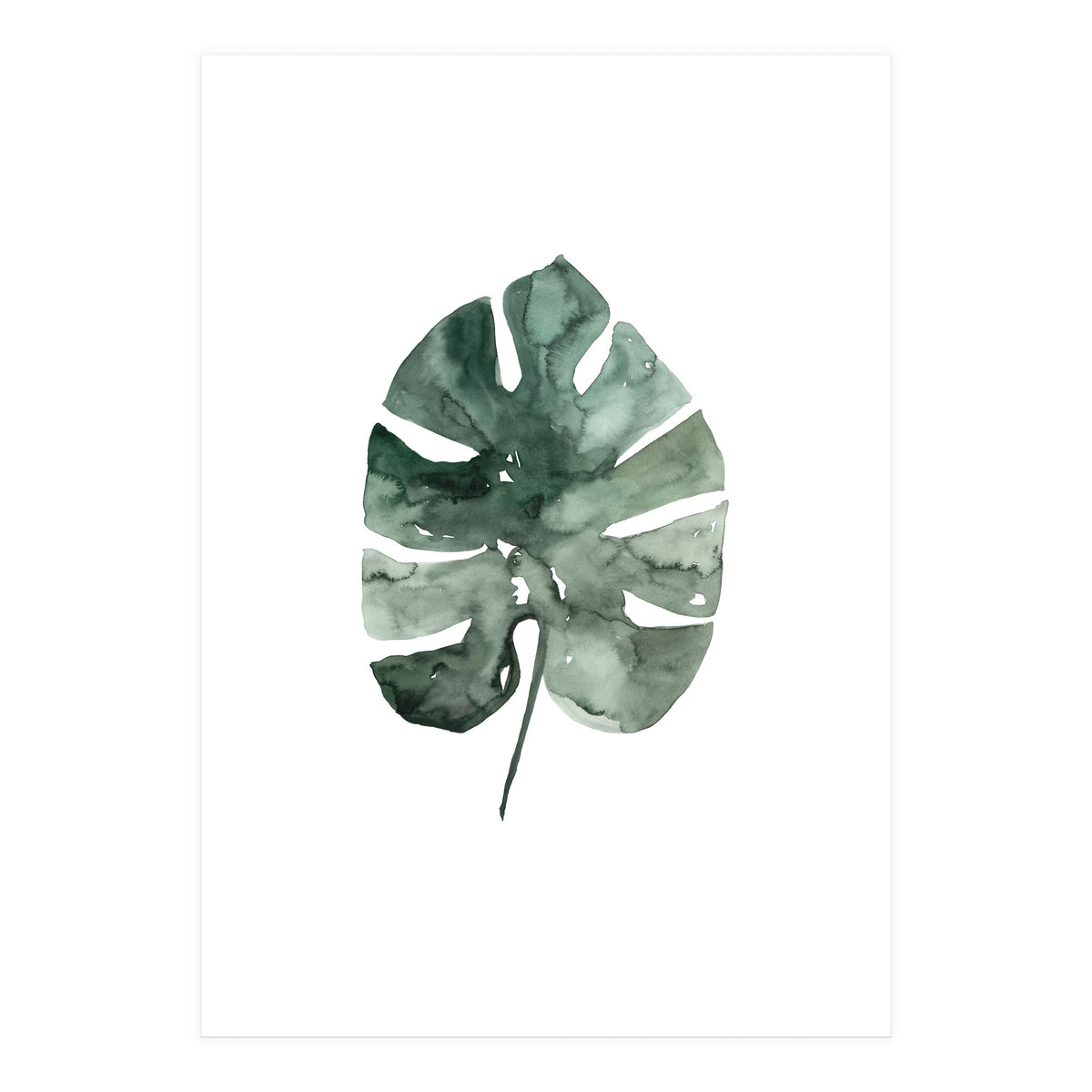 Botanical Illustration Monstera Leaf (Print Only)