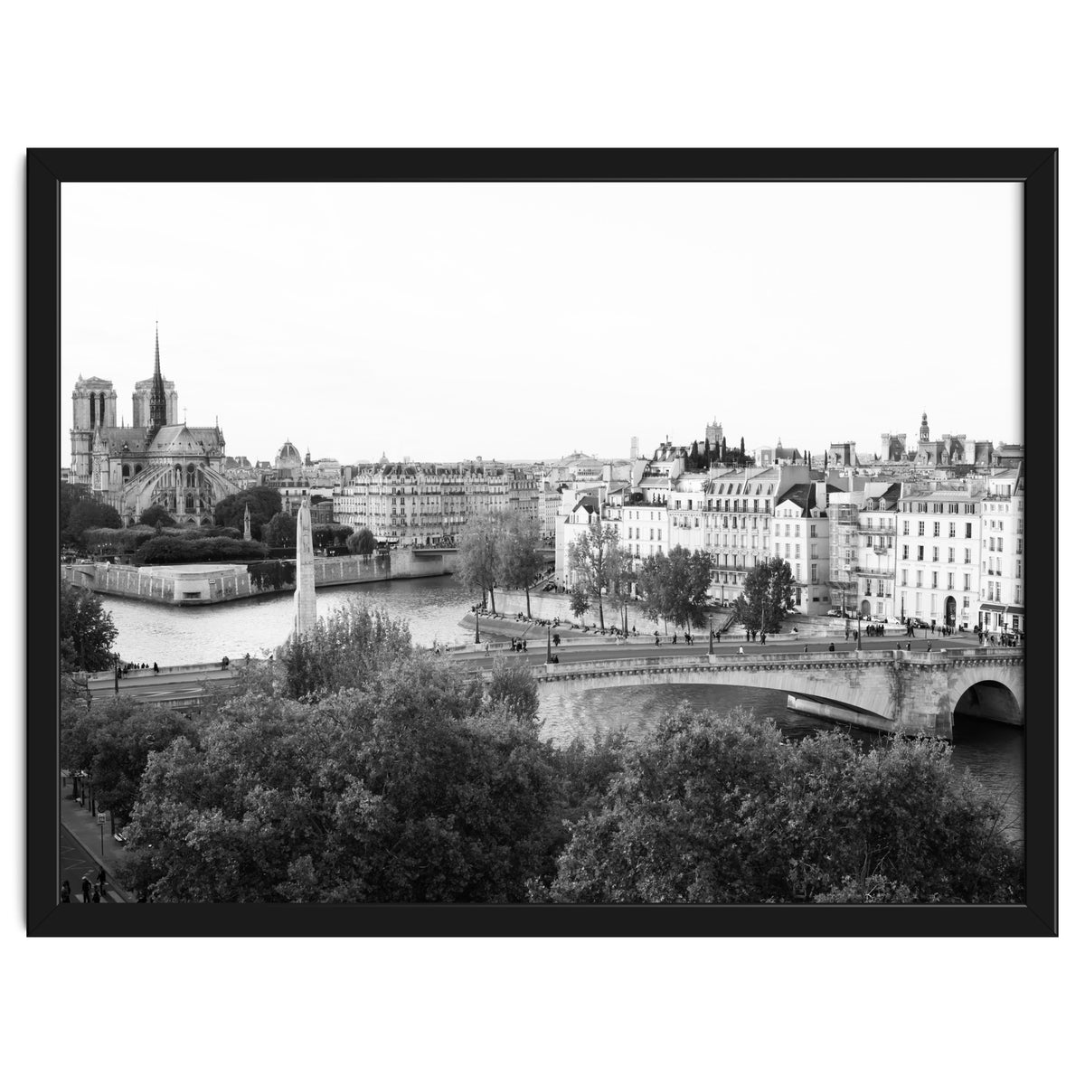 Paris View in Black and White