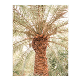 Tropical 2 (Print Only) thumbnail