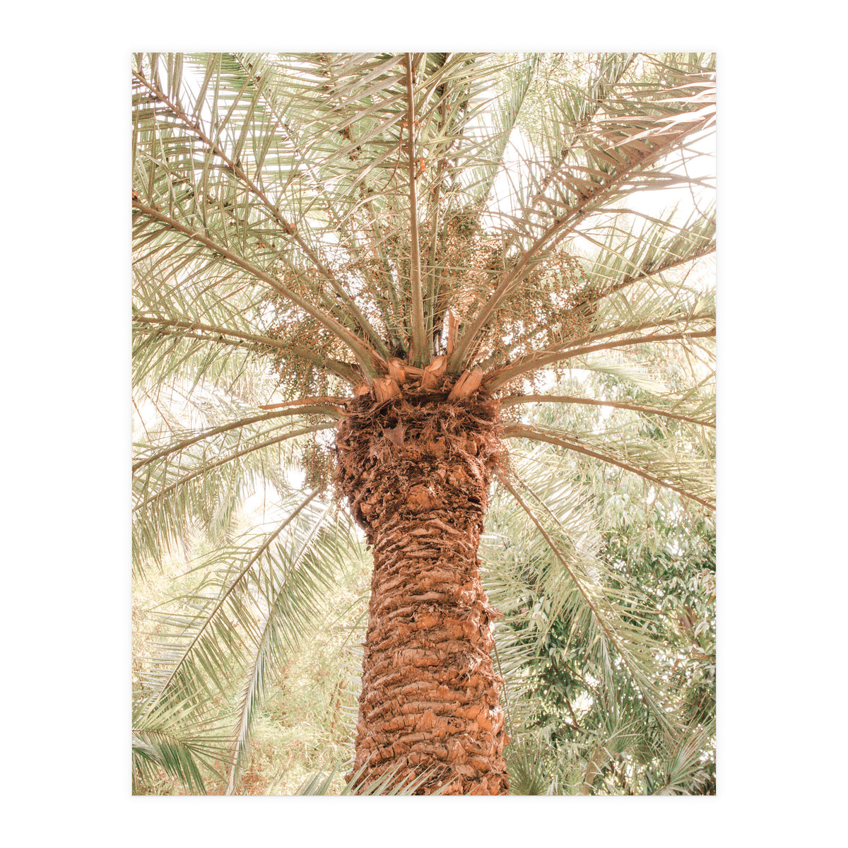 Tropical 2 (Print Only)