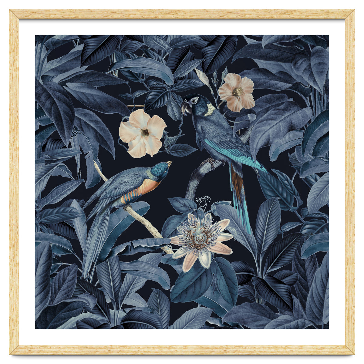 Exotic Jungle Birds At Night