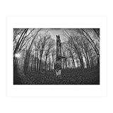 Circle of Growth and decay  (Print Only) thumbnail