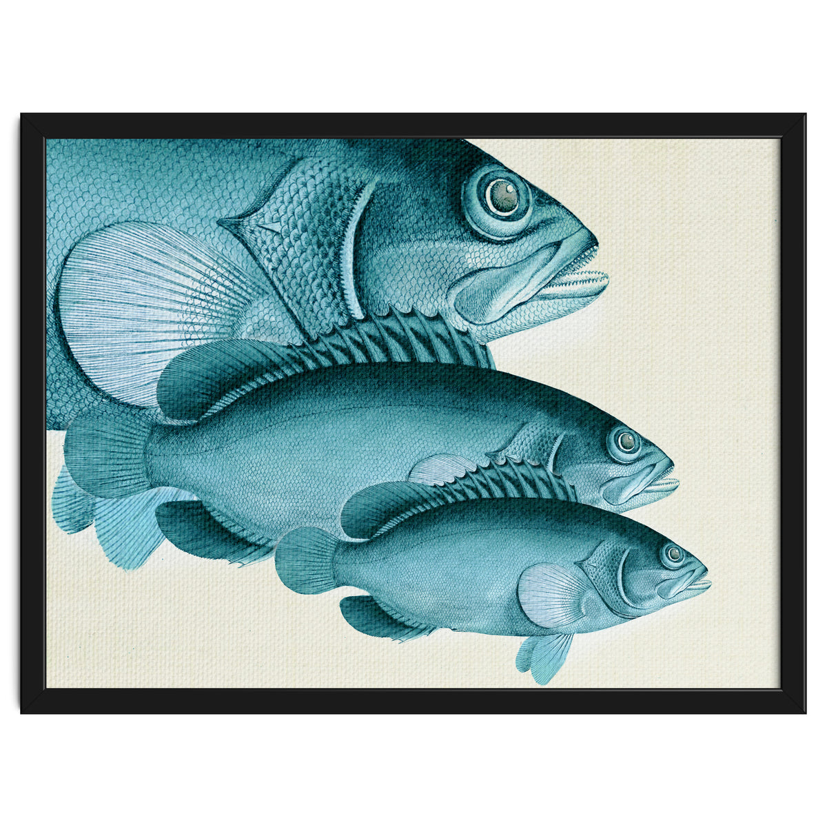 Fish Classic Designs 4