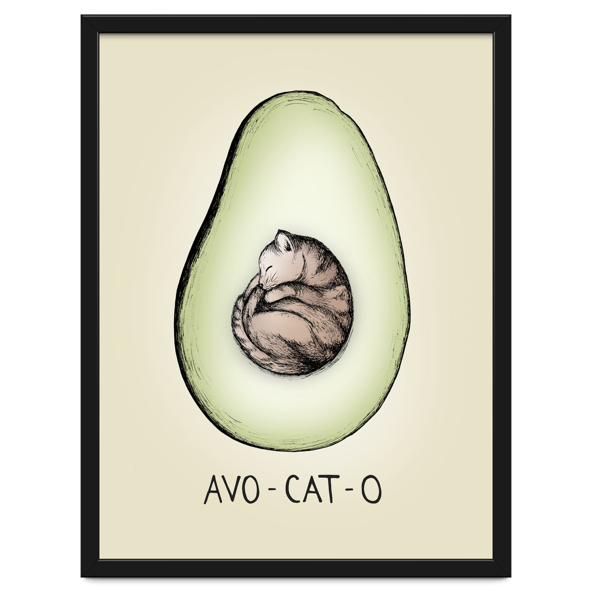 Avo-cat-o
