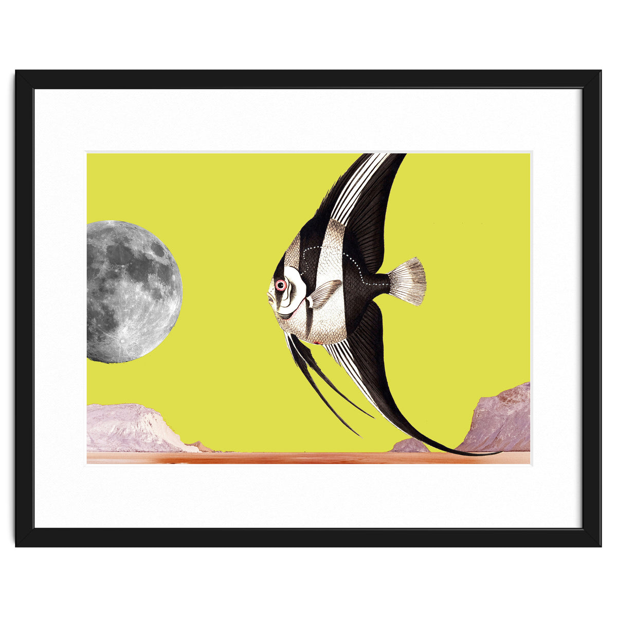 Plenty of fish in the sea yellow