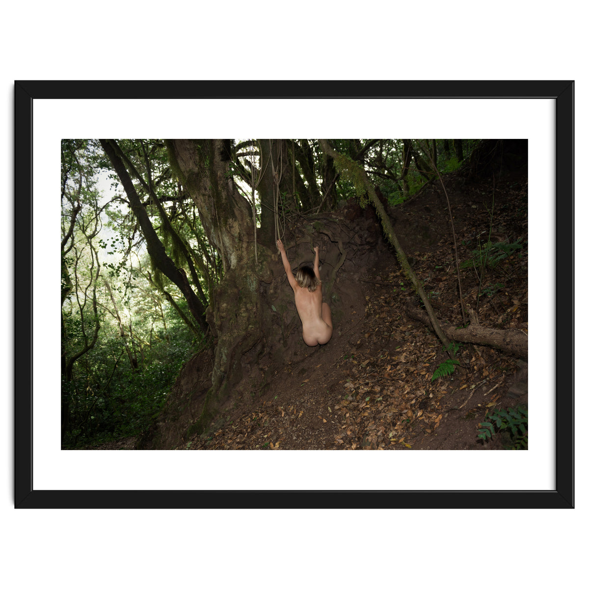 The kids Are all Wild