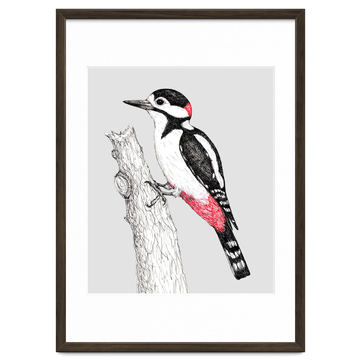 Great spotted woodpecker